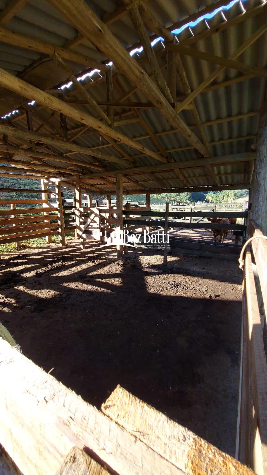 WhatsApp Image 2022-06-17 at 14.13.09