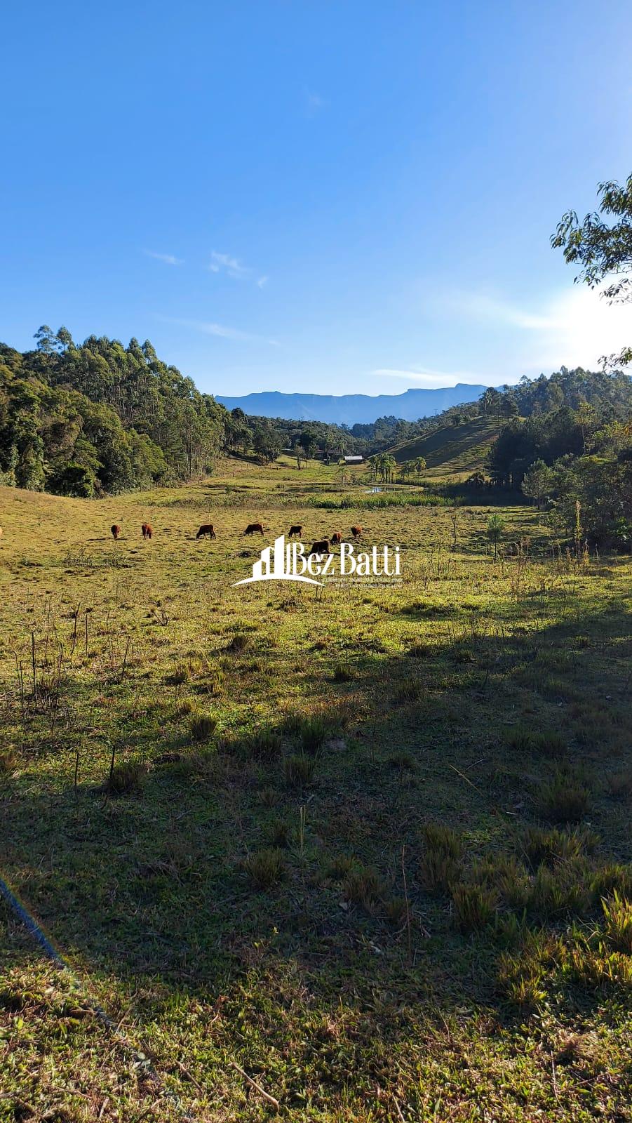 WhatsApp Image 2022-06-17 at 14.13.12