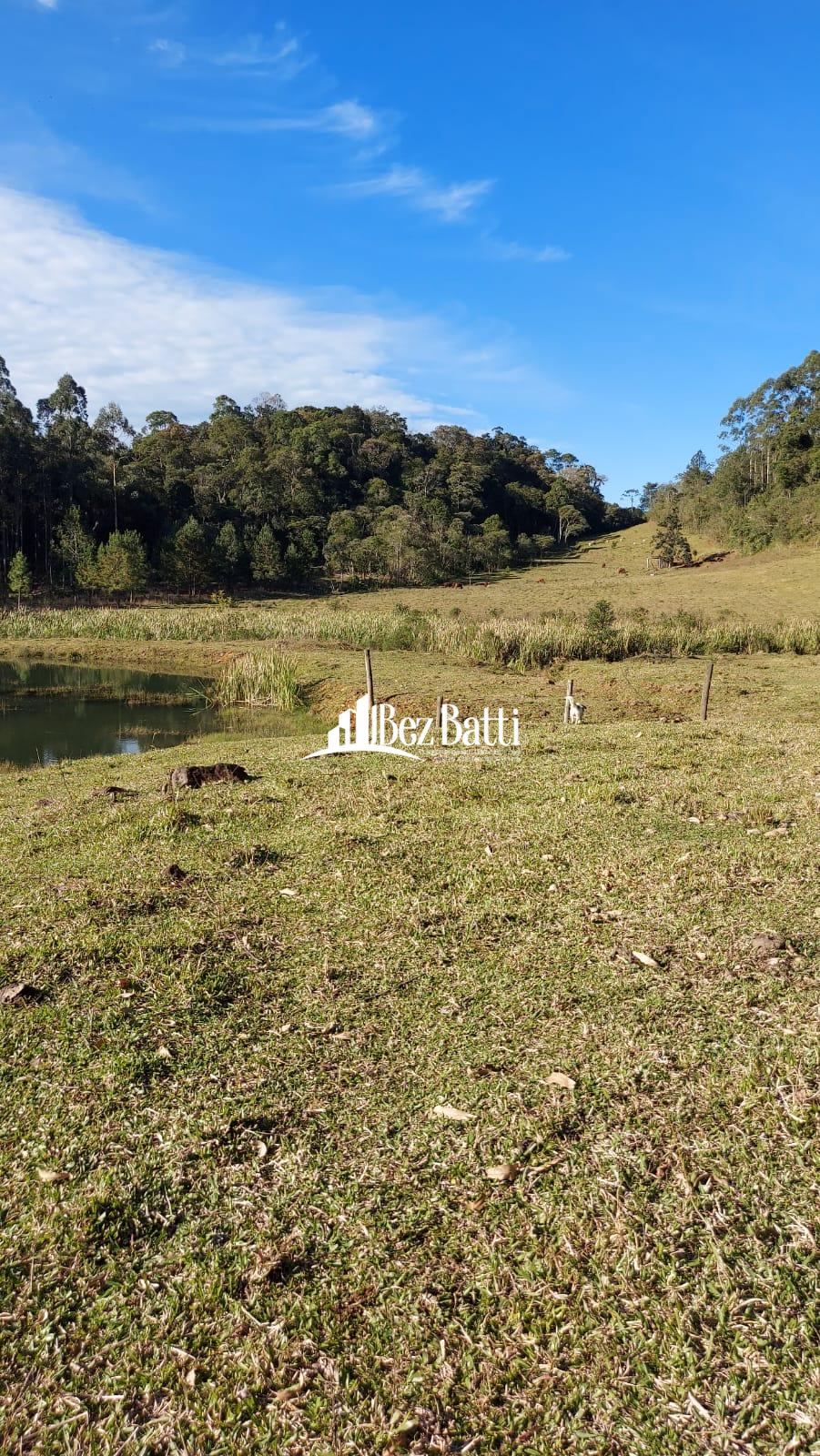 WhatsApp Image 2022-06-17 at 14.13.22