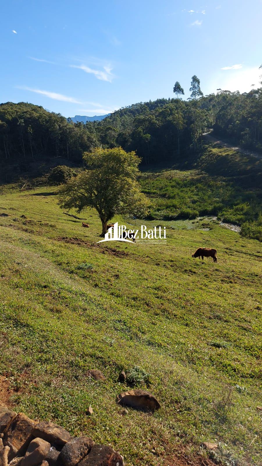 WhatsApp Image 2022-06-17 at 14.13.35