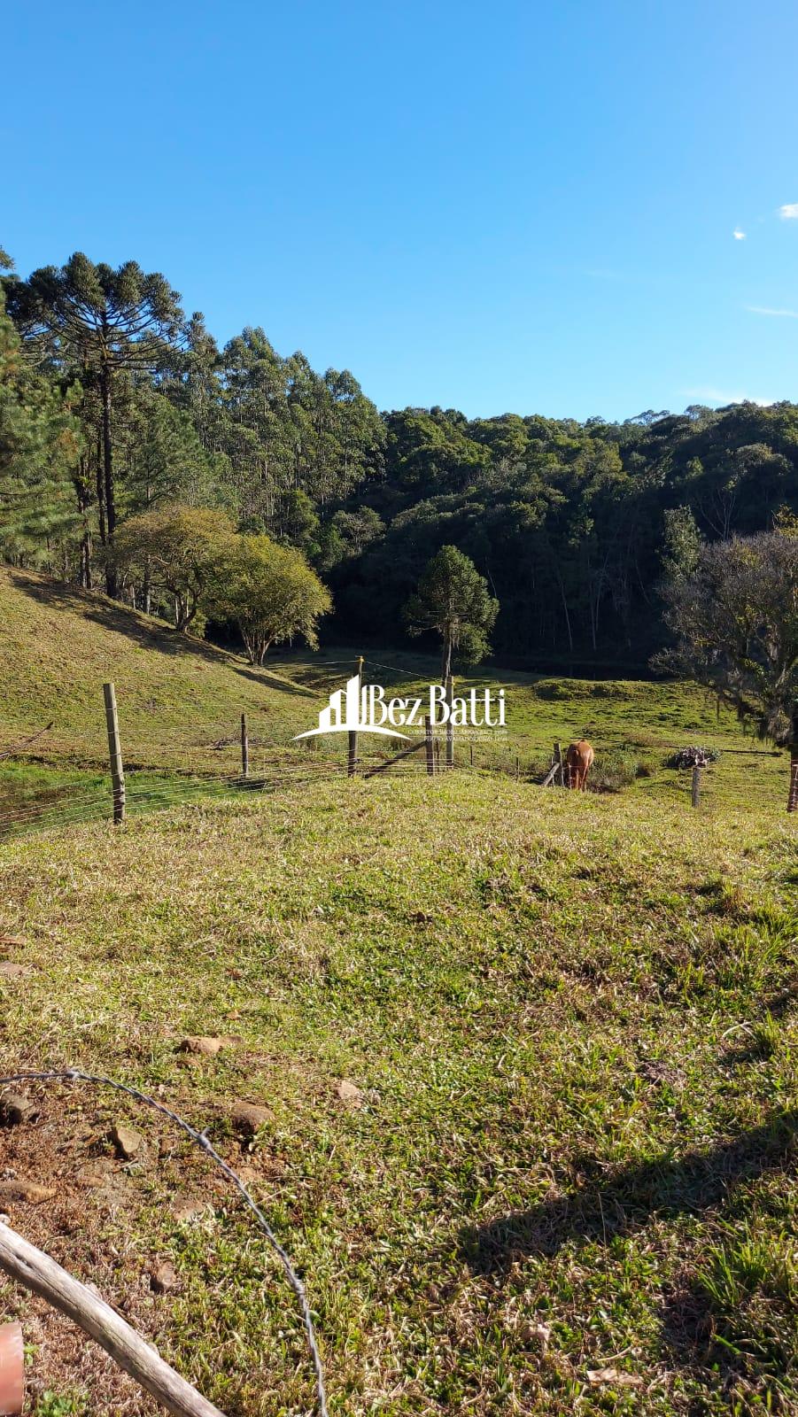 WhatsApp Image 2022-06-17 at 14.13.43